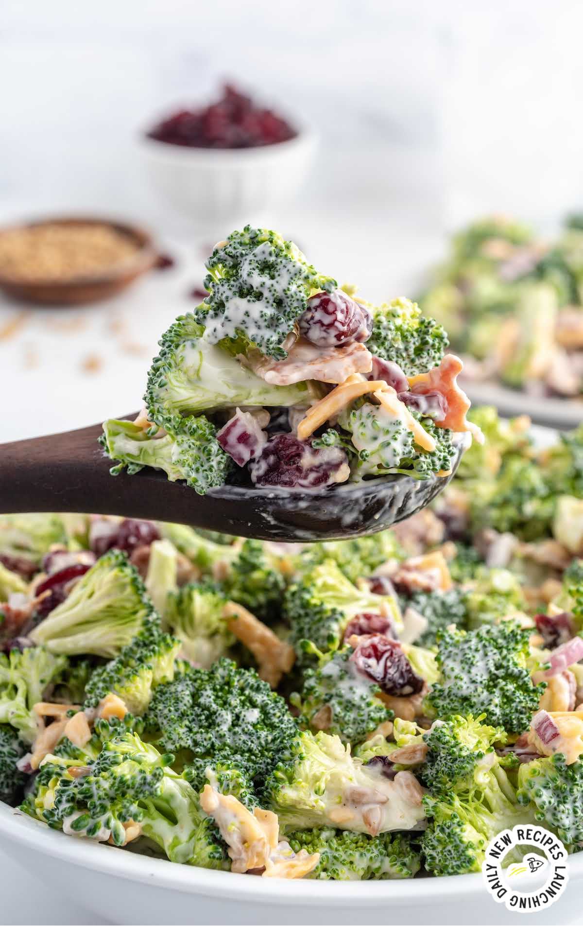 a close up shot of a spoonful of Broccoli Salad
