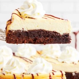 close up shot of Brownie Bottom Cheesecake on a spatula
