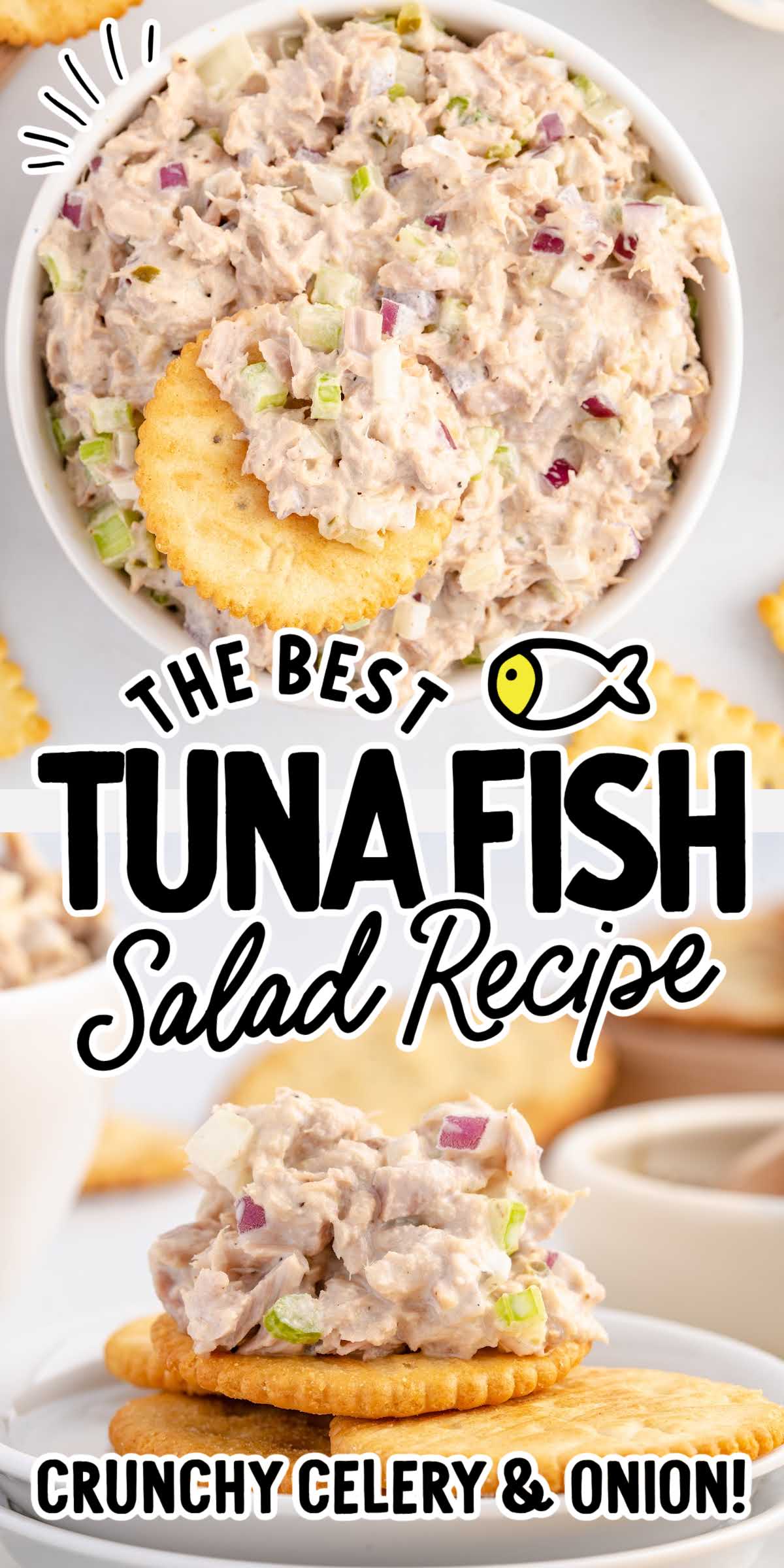 Tuna Fish Recipe For Salad Spaceships and Laser Beams
