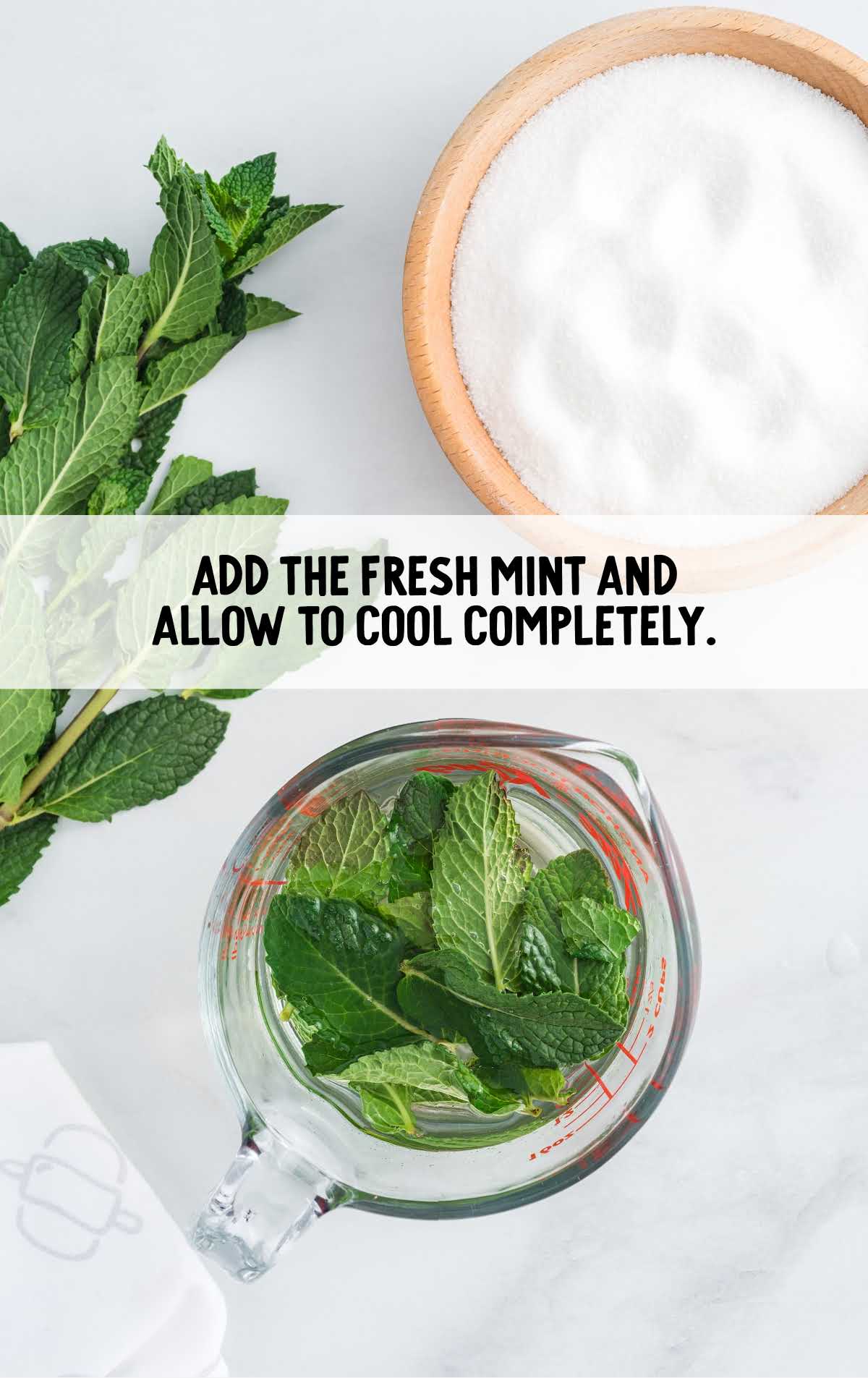 mint leaves in a measuring cup