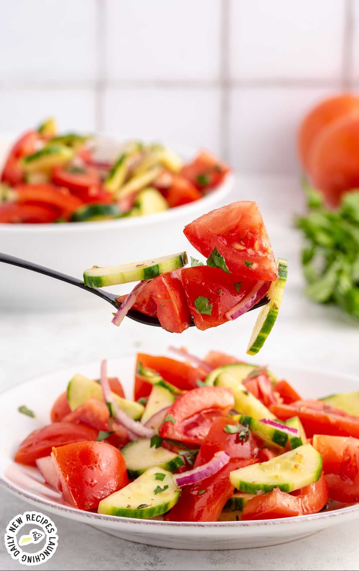 a close up shot of a fork getting a piece of Tomato Cucumber Salad