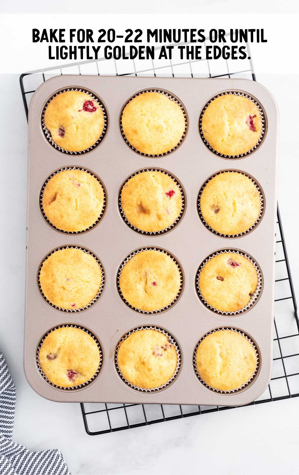 baked Lemon Raspberry Cupcakes in a cupcake baking tray