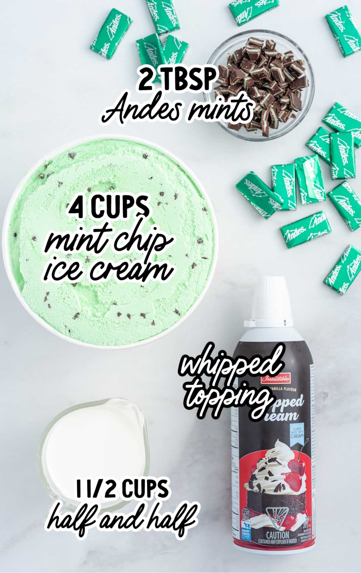 Mint Chocolate Chip Milkshake raw ingredients that are labeled