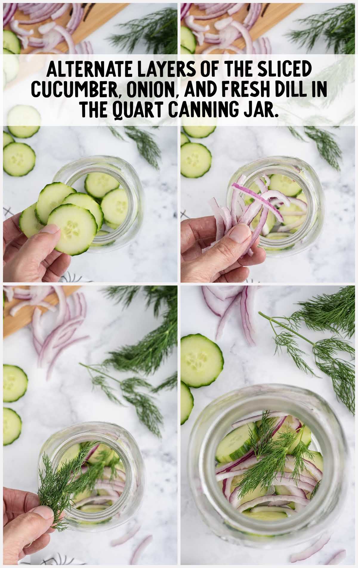 sliced cucumber, onion, and dill layer in a jar
