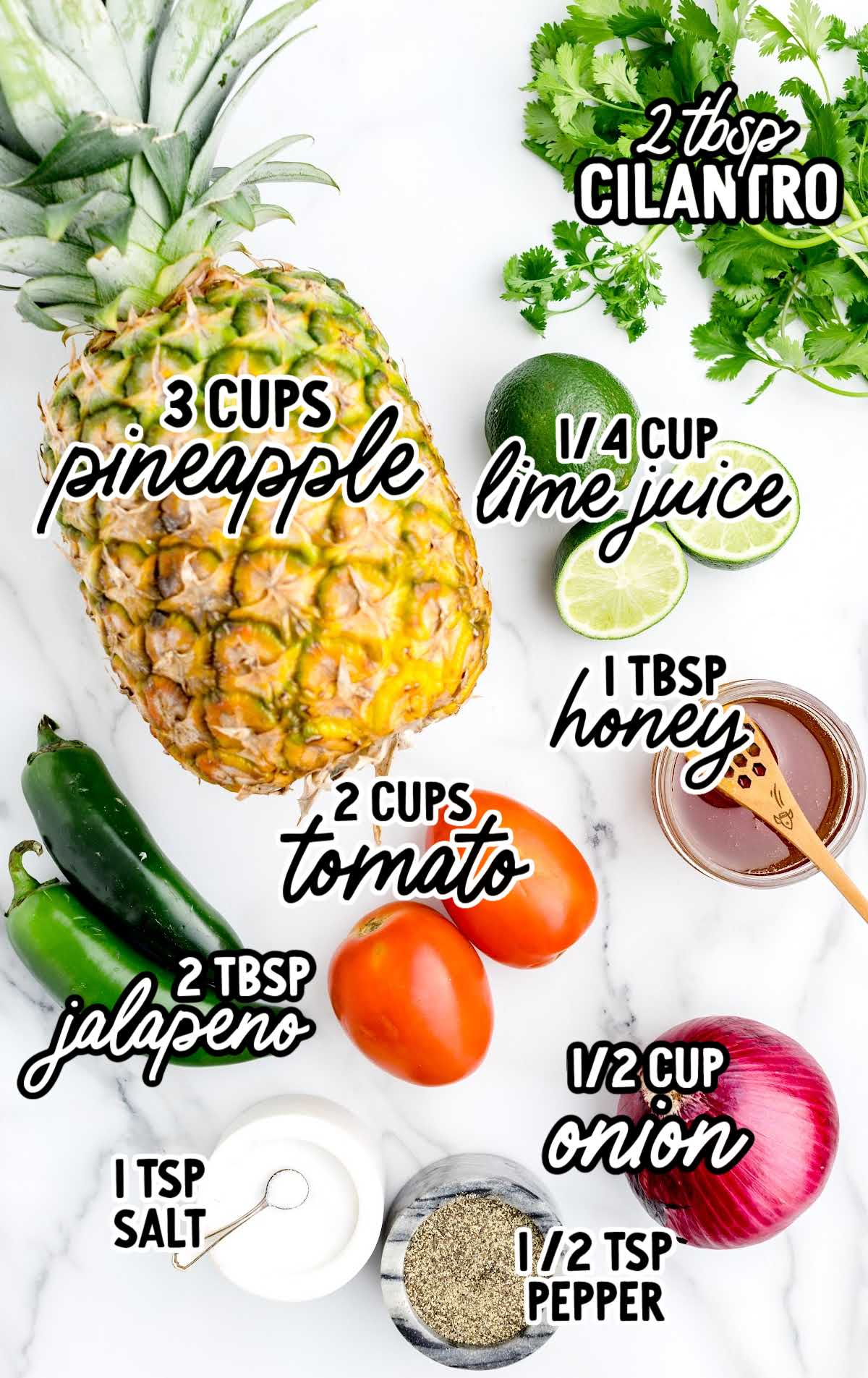 Pineapple Salsa raw ingredients that are labeled