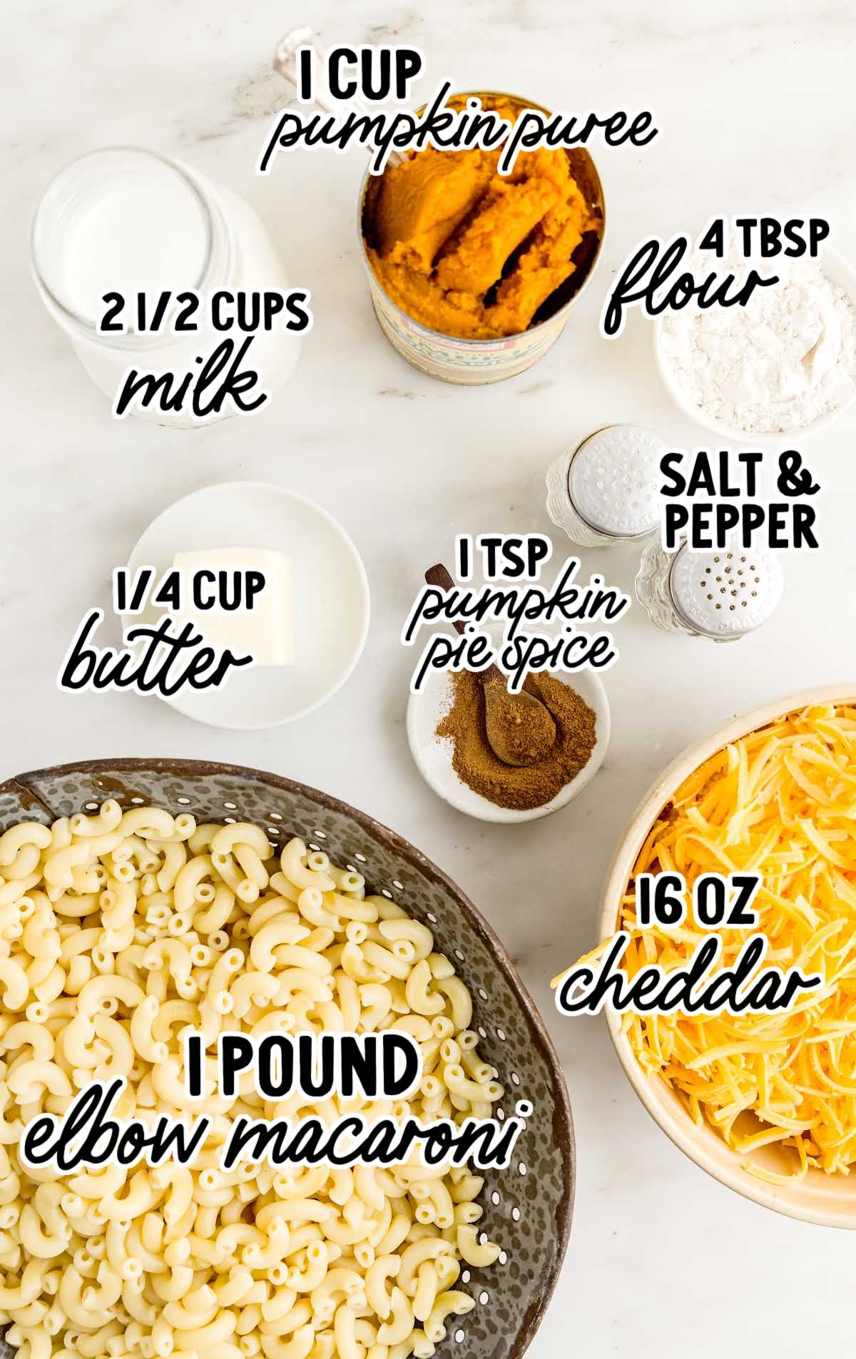 Pumpkin Spice Mac and Cheese raw ingredients that are labeled
