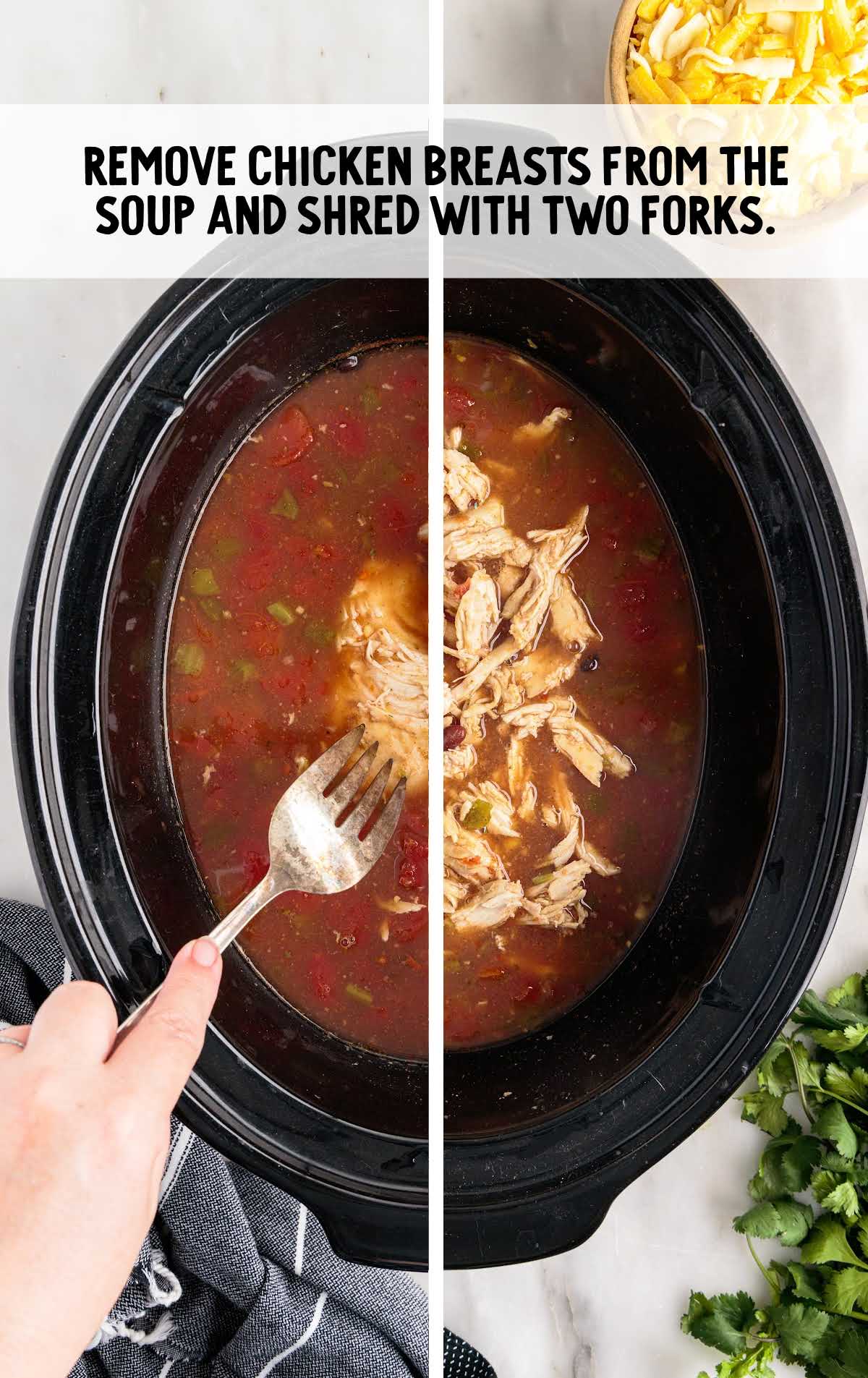 chicken breast removed and shredded with two forks in a slow cooker