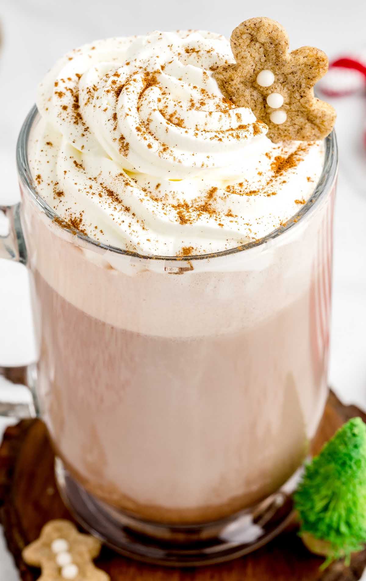 close up shot of Christmas Hot Chocolate in a mug topped with whipped cream and gingerbread cookie