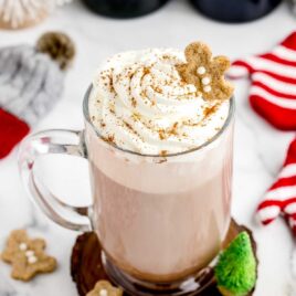 close up shot of Christmas Hot Chocolate in a mug topped with whipped cream and gingerbread cookie
