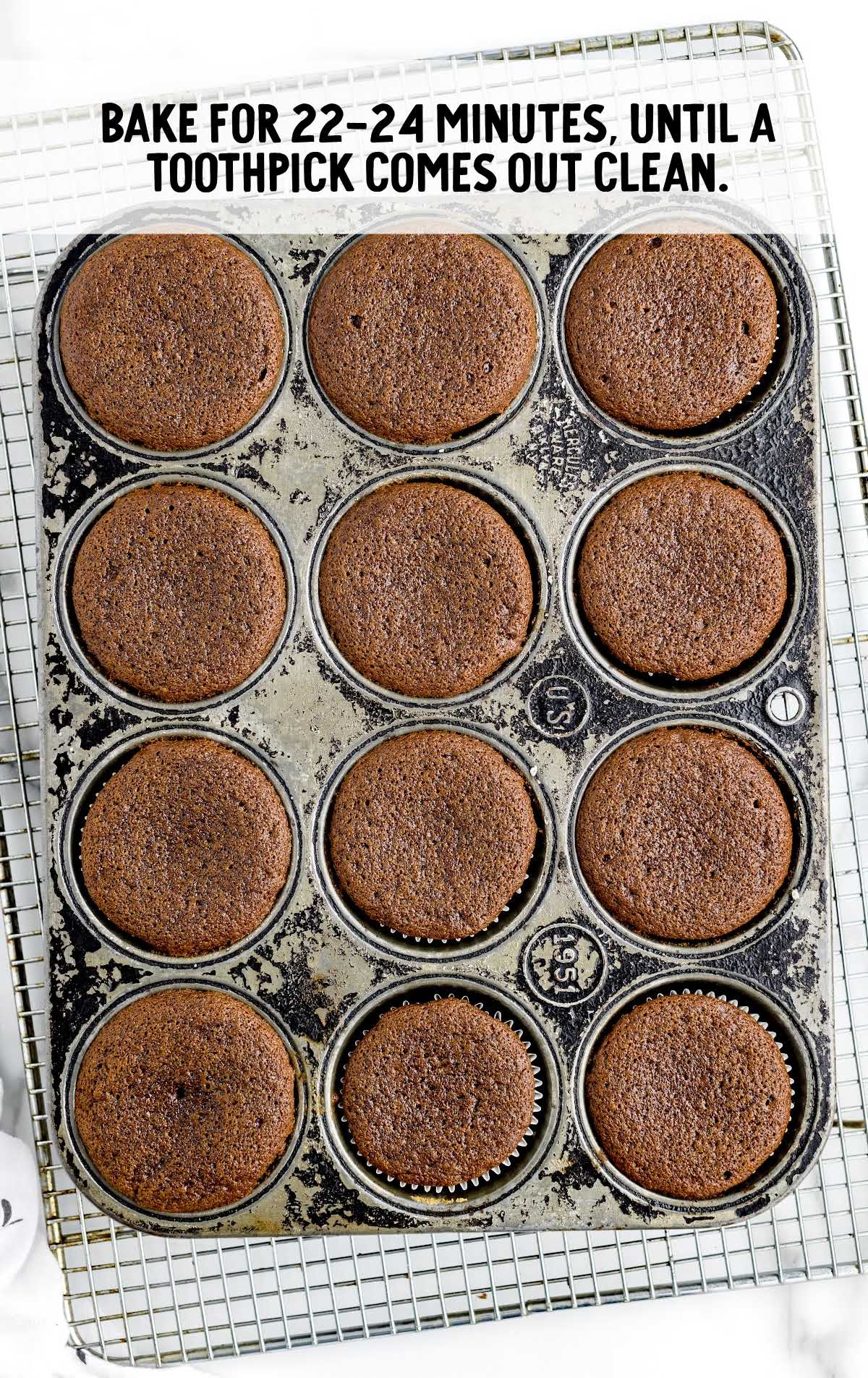 baked Gingerbread Cupcakes in a cupcake pan