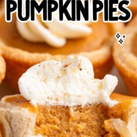 Text overlay image showing “absolute best mini pumpkin pies easy for holidays” with close-up of pies