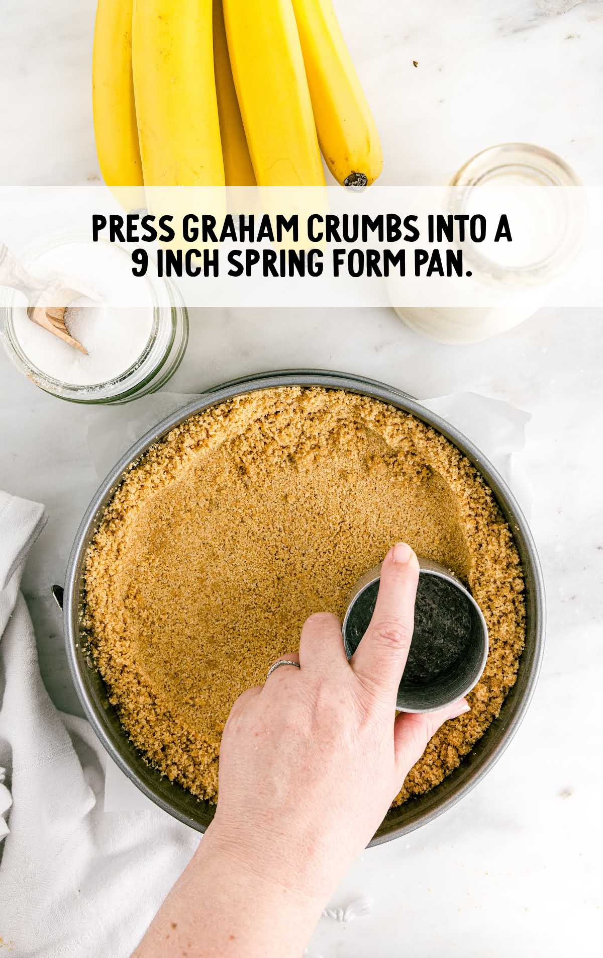 graham crumbs pressed into the spring form pan