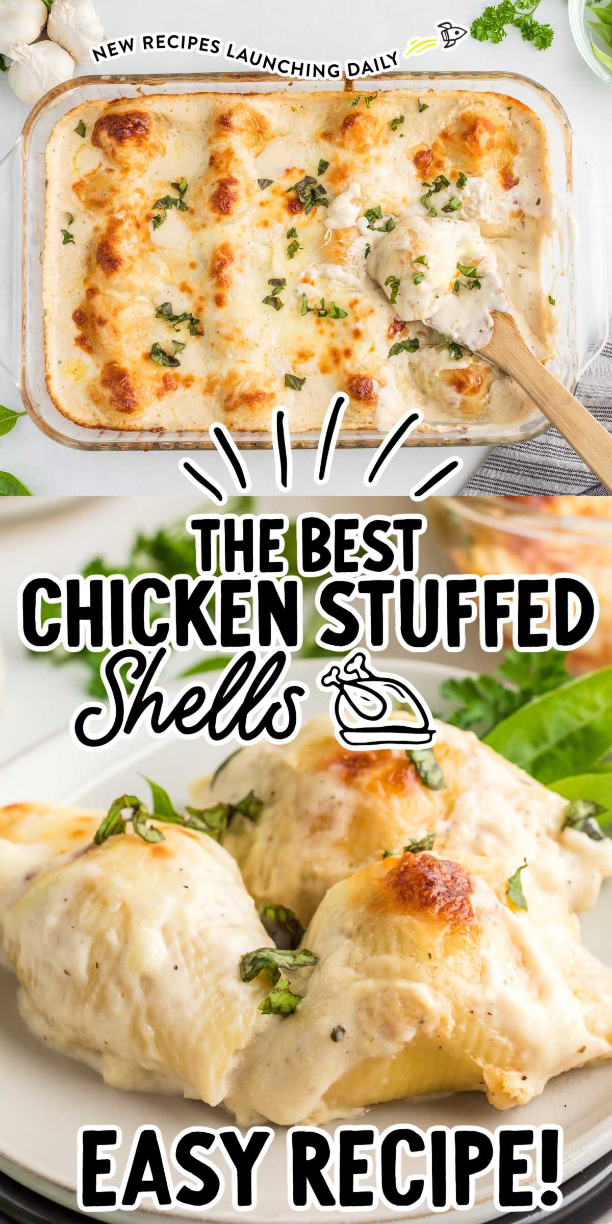 Chicken Stuffed Shells - Spaceships and Laser Beams