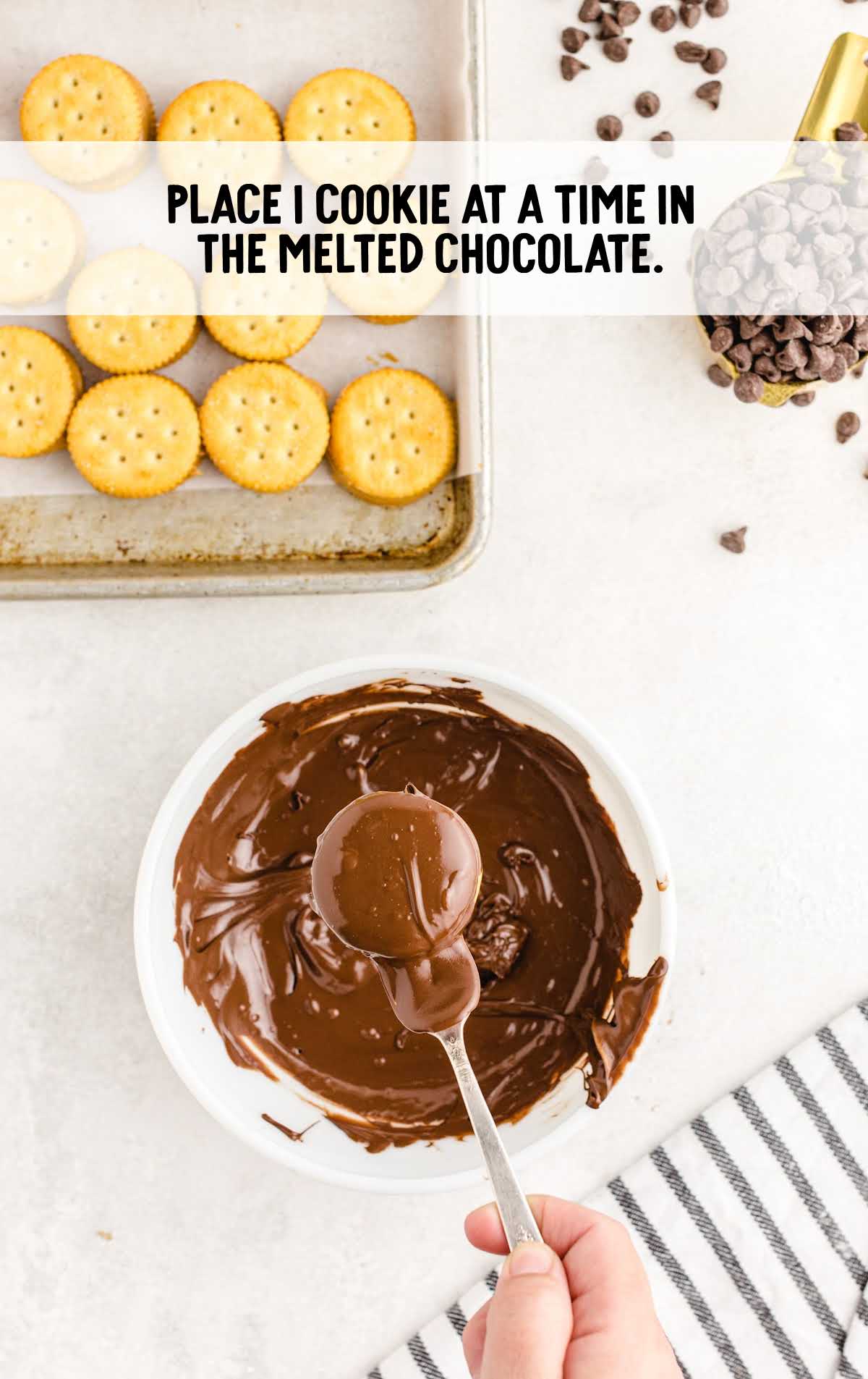 dip cookie into the melted chocolate