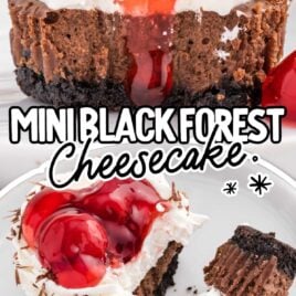 a close up shot of Mini Black Forest Cheesecake with a bite taken out of it and a overhead shot of a cupcake split in half