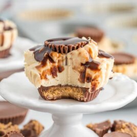 a close up shot of a Mini Peanut Butter Cheesecake with a bite taken out on a stand