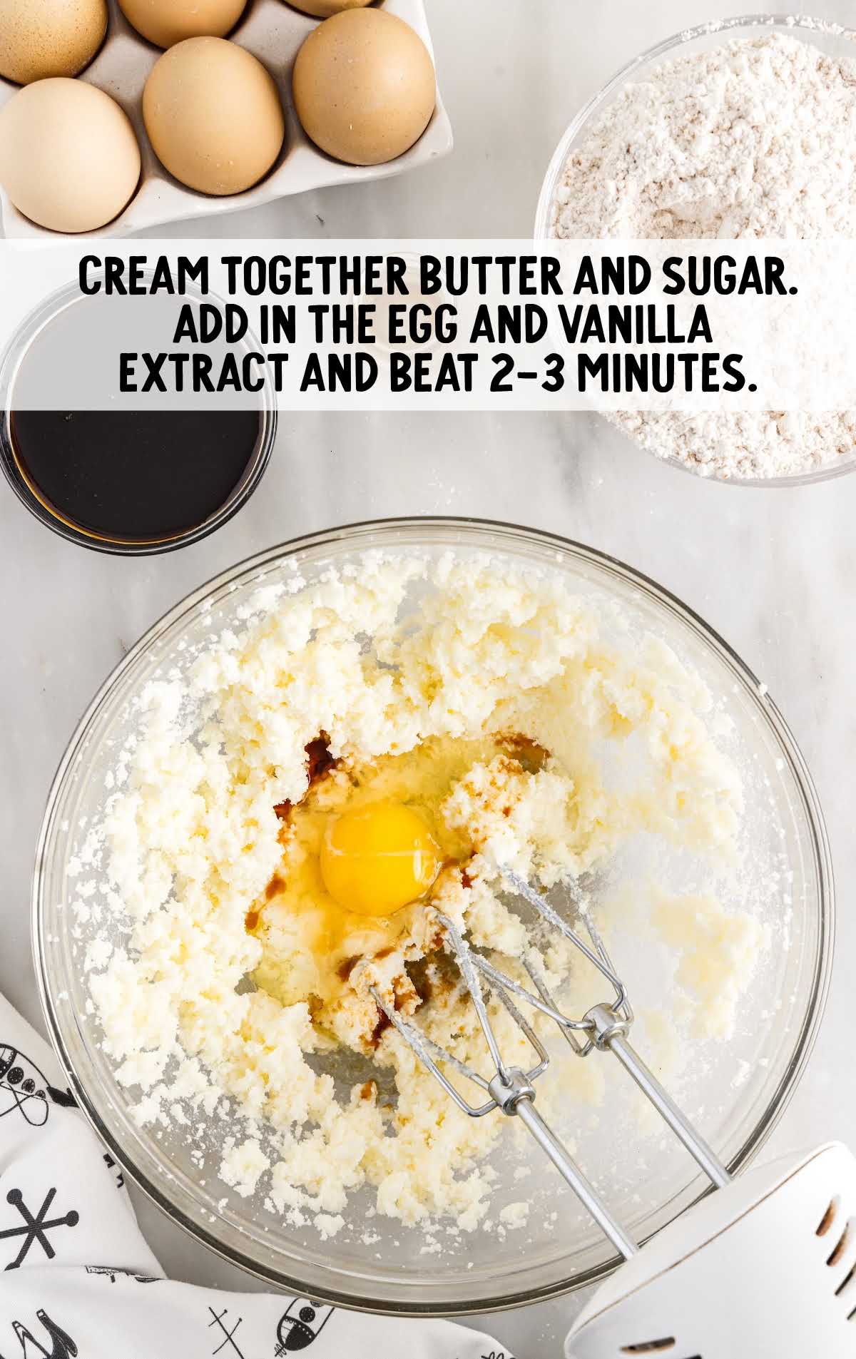 butter, sugar, egg and vanilla extract blended in a bowl