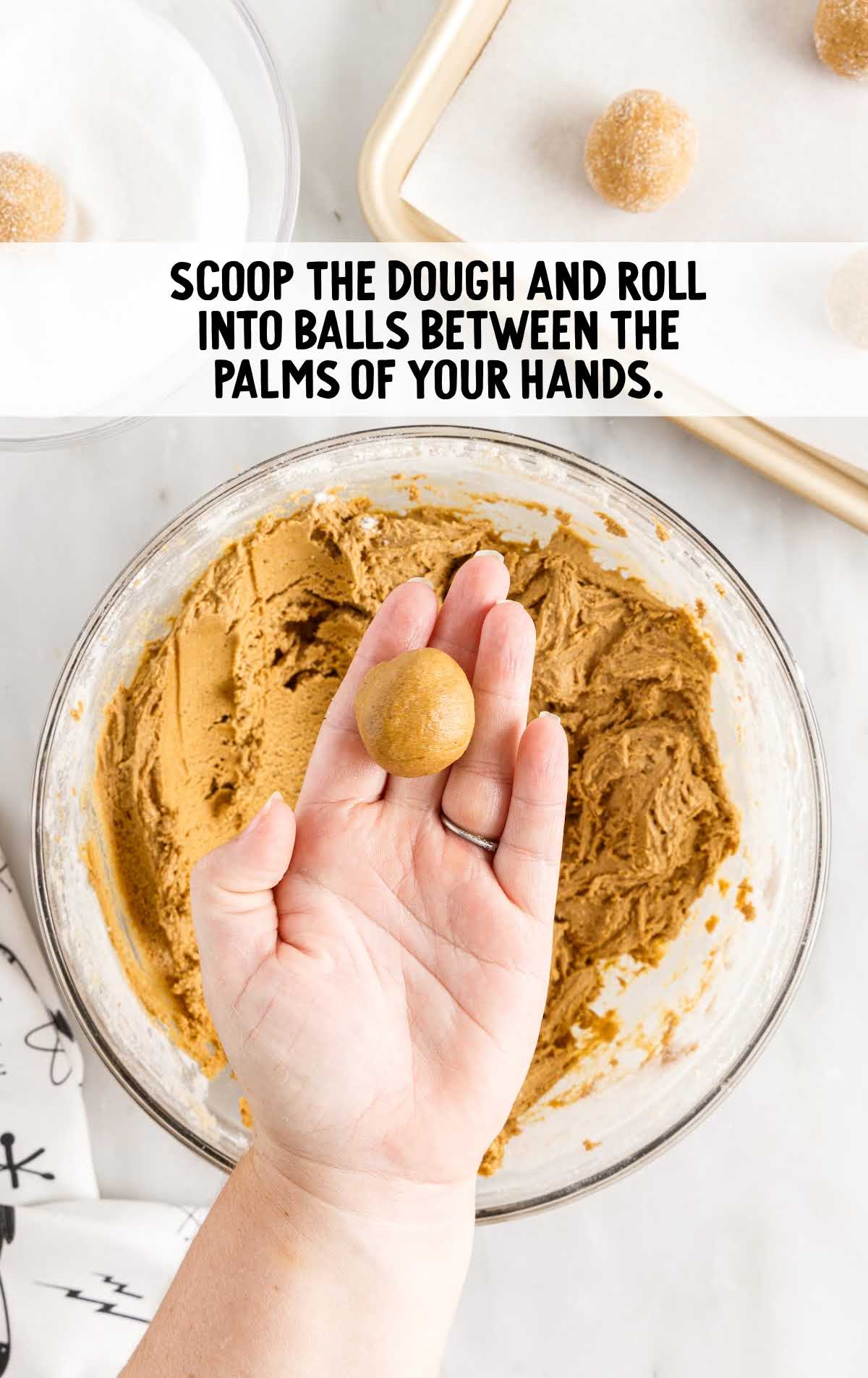 roll dough into ball with palm of hand