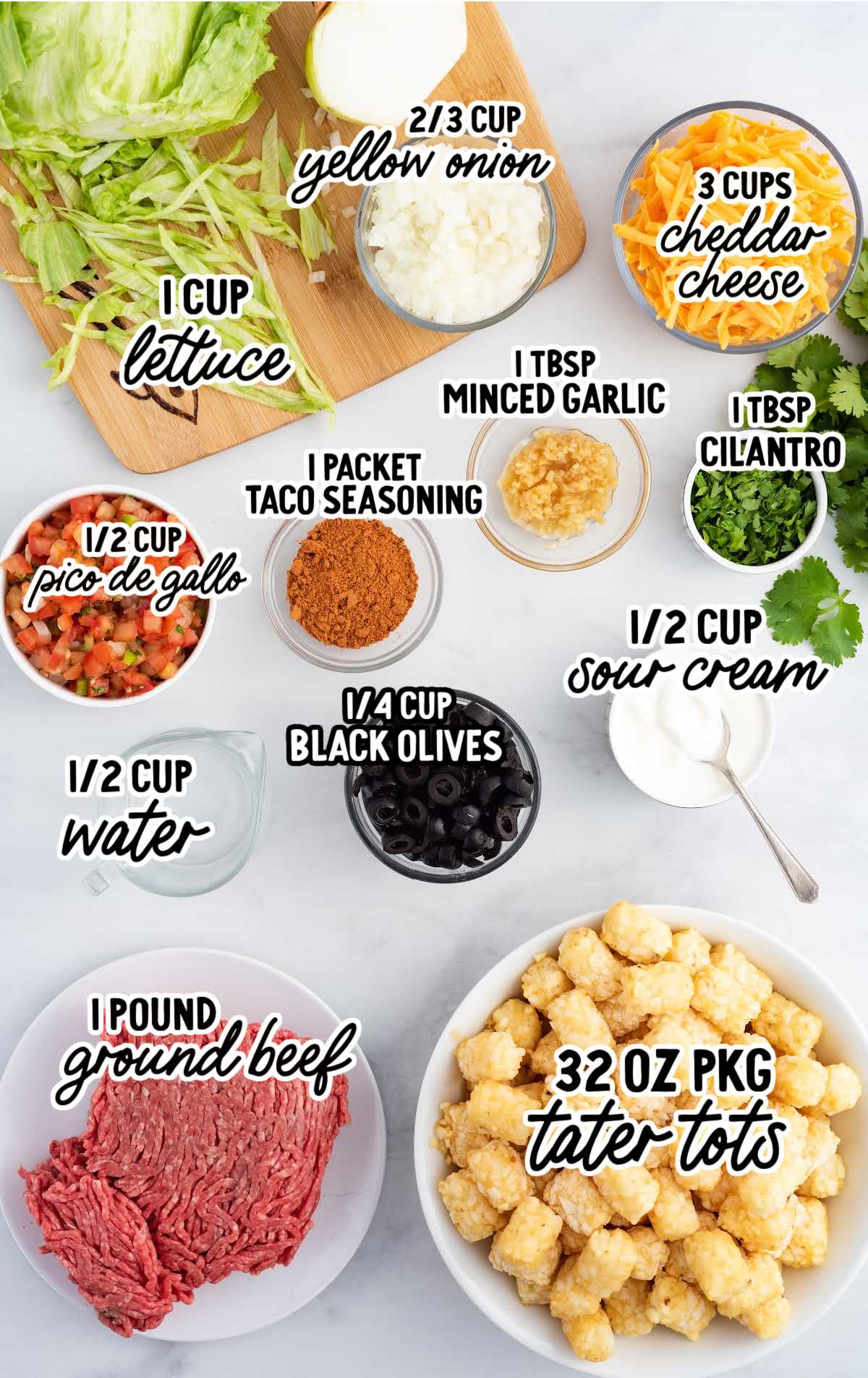 Tater Tot Nachos raw ingredients that are labeled