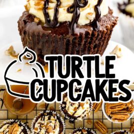 overhead shot of Turtle Cupcakes on a cooling rack and a close up shot of a Turtle Cupcake on a plate