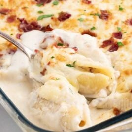 a close up shot of a spoon grabbing a piece of Chicken Alfredo Stuffed Shells in a baking dish