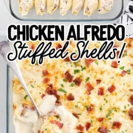 overhead shot of a spoon grabbing a piece of Chicken Alfredo Stuffed Shells in a baking dish and a overhead shot of Chicken Alfredo Stuffed Shells in a baking dish