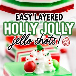 a close up shot of Holly Jolly Jello Shots on a stand