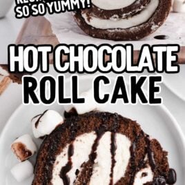 a overhead shot of a piece hot chocolate roll cake on a plate