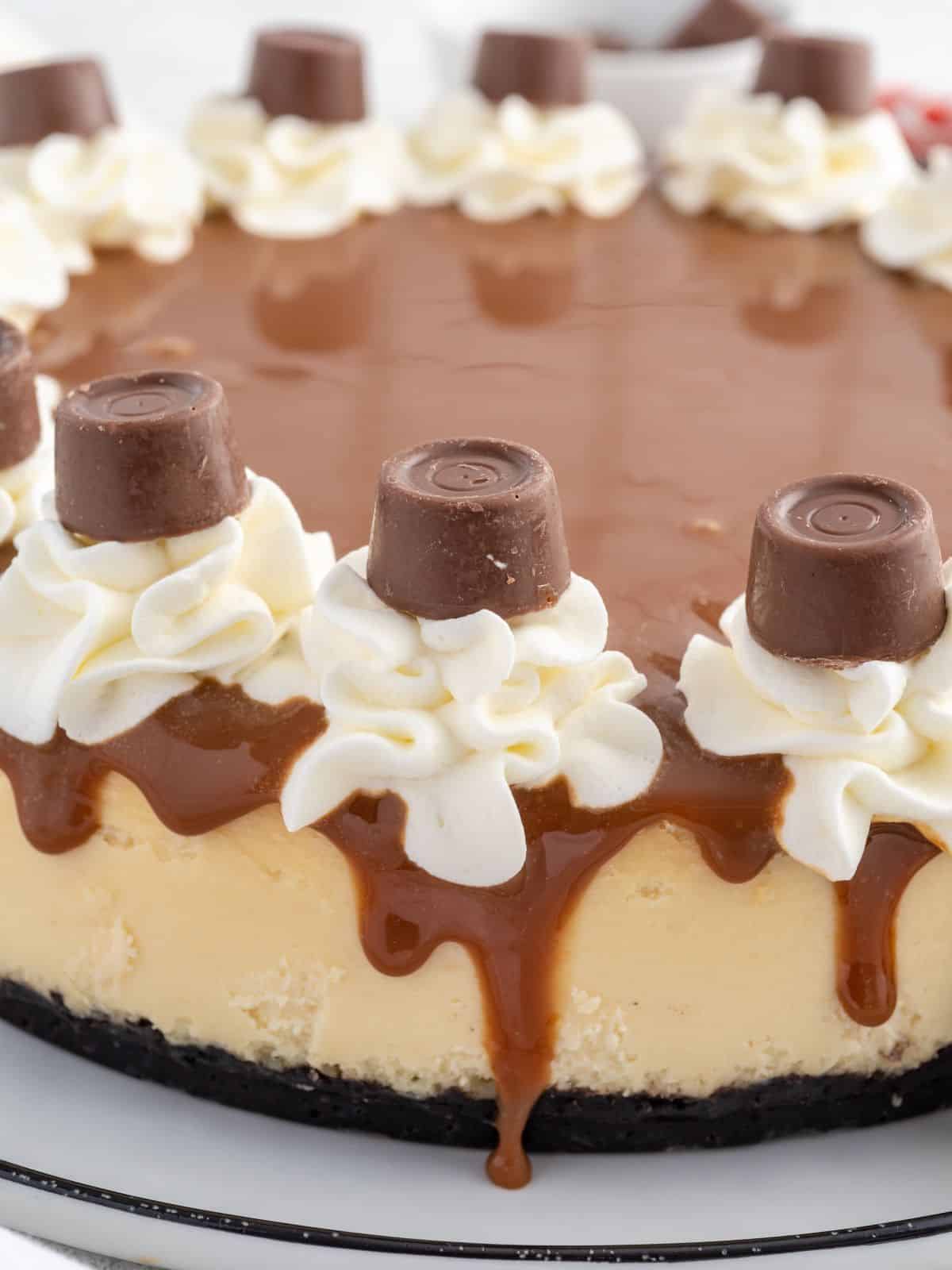 A whole Rolo cheesecake on a chocolate cookie crust, topped with dulce de leche, whipped cream swirls and Rolo candies.