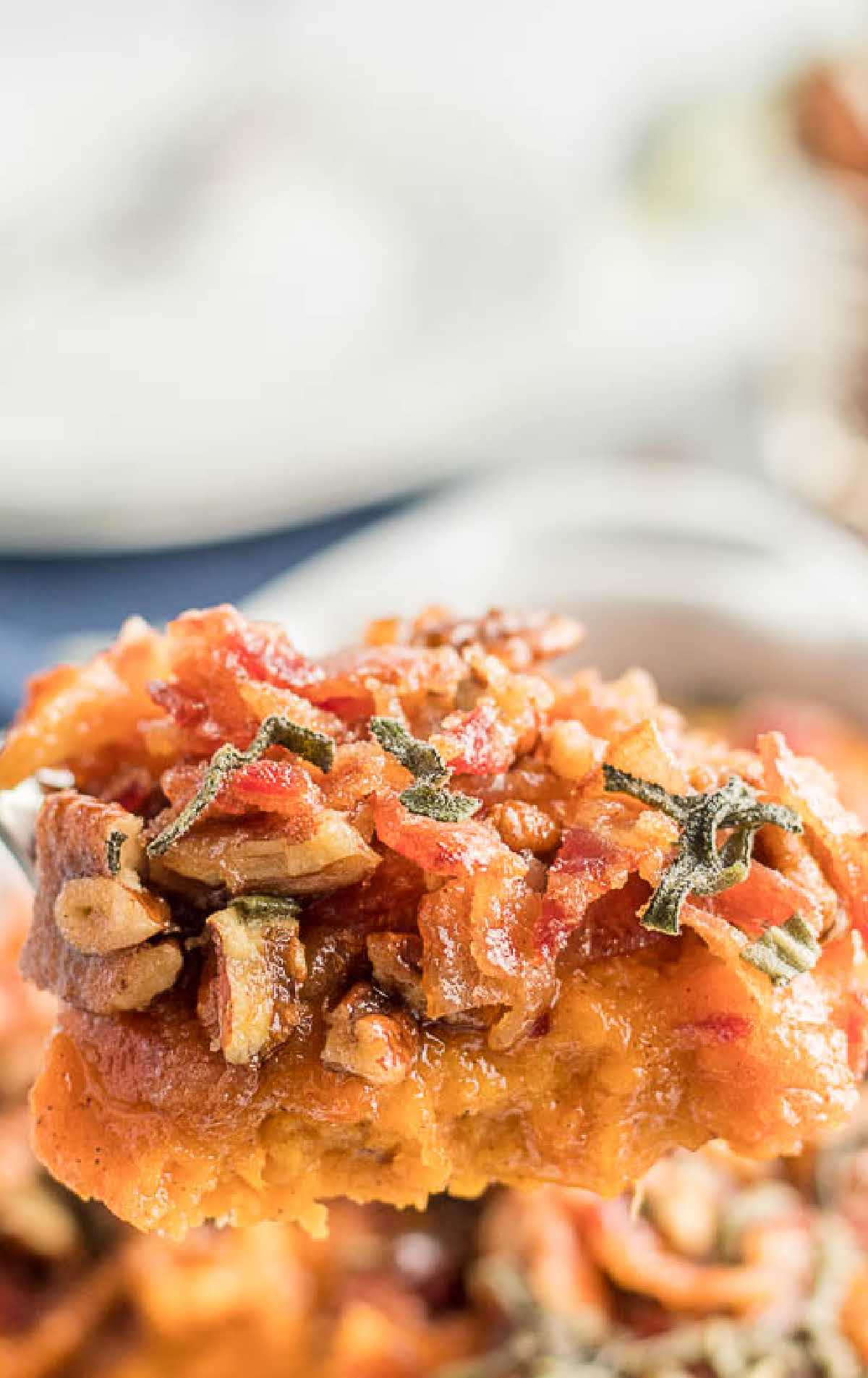a close up shot of a piece of sweet potato casserole with pecans