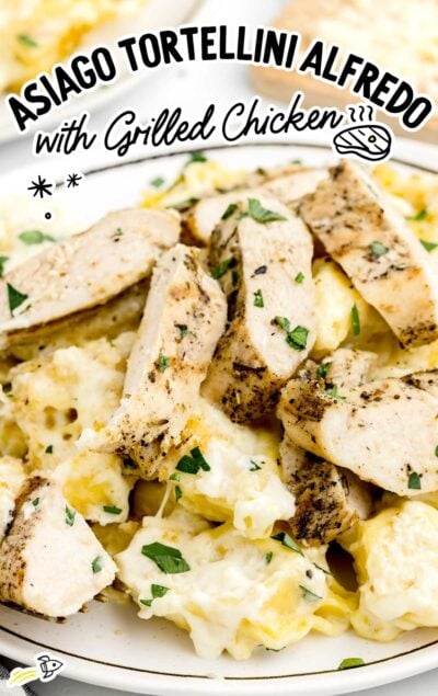 a close up shot of Asiago Tortellini Alfredo with Grilled Chicken on a plate