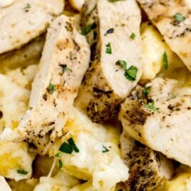 a close up shot of Asiago Tortellini Alfredo with Grilled Chicken on a plate