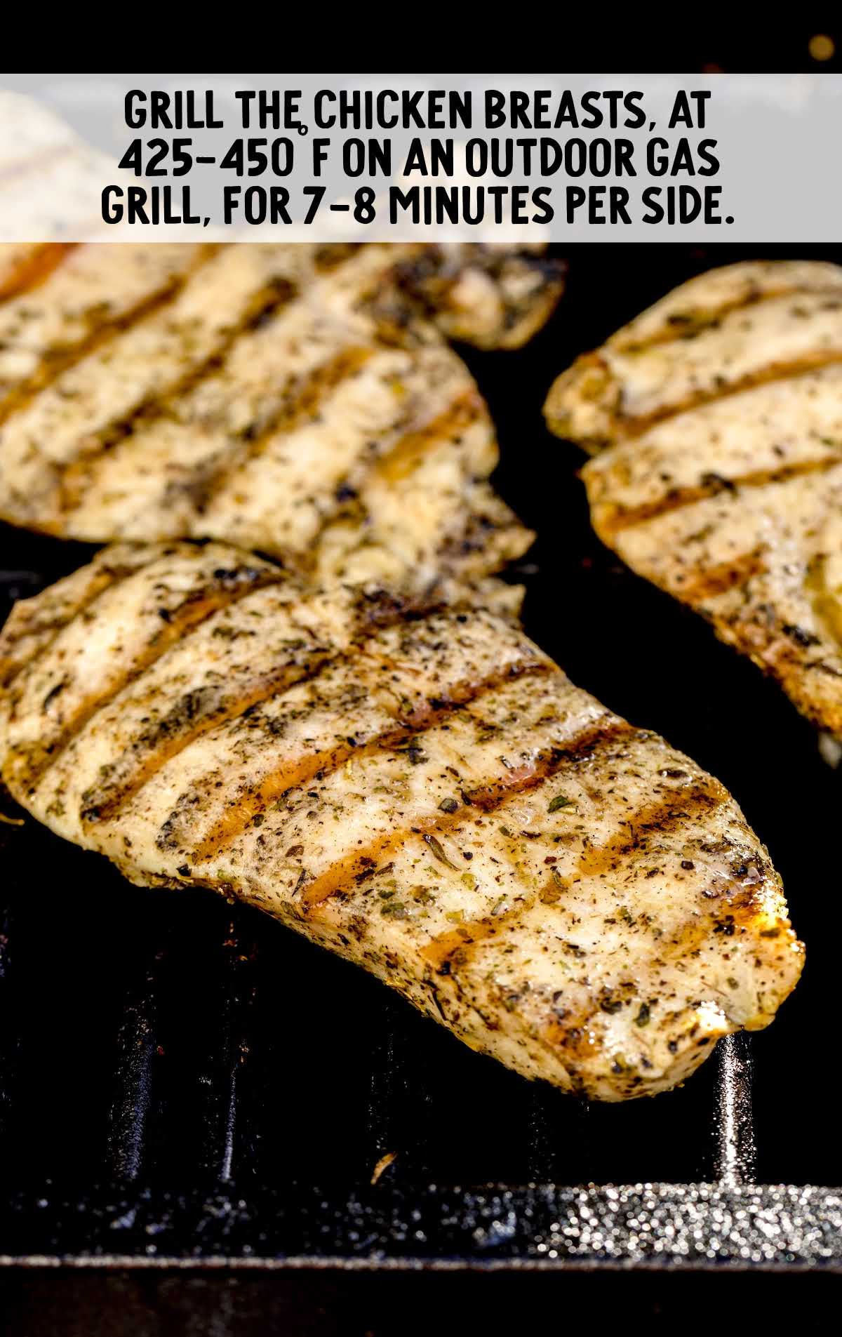 chicken breast grilled in a griller