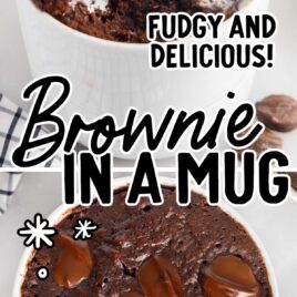 overhead shot of Brownie in a Mug with a spoon full and a close up shot of Brownie in a Mug topped with ice cream