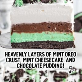 a close up shot of a slice of Mint Oreo Dessert on a plate