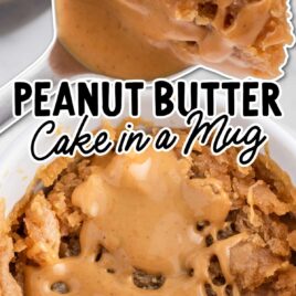 a close up shot of Peanut Butter Cake in a Mug and a spoonful of Peanut Butter Cake