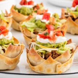 a close up shot of Taco Bites on a platter plate