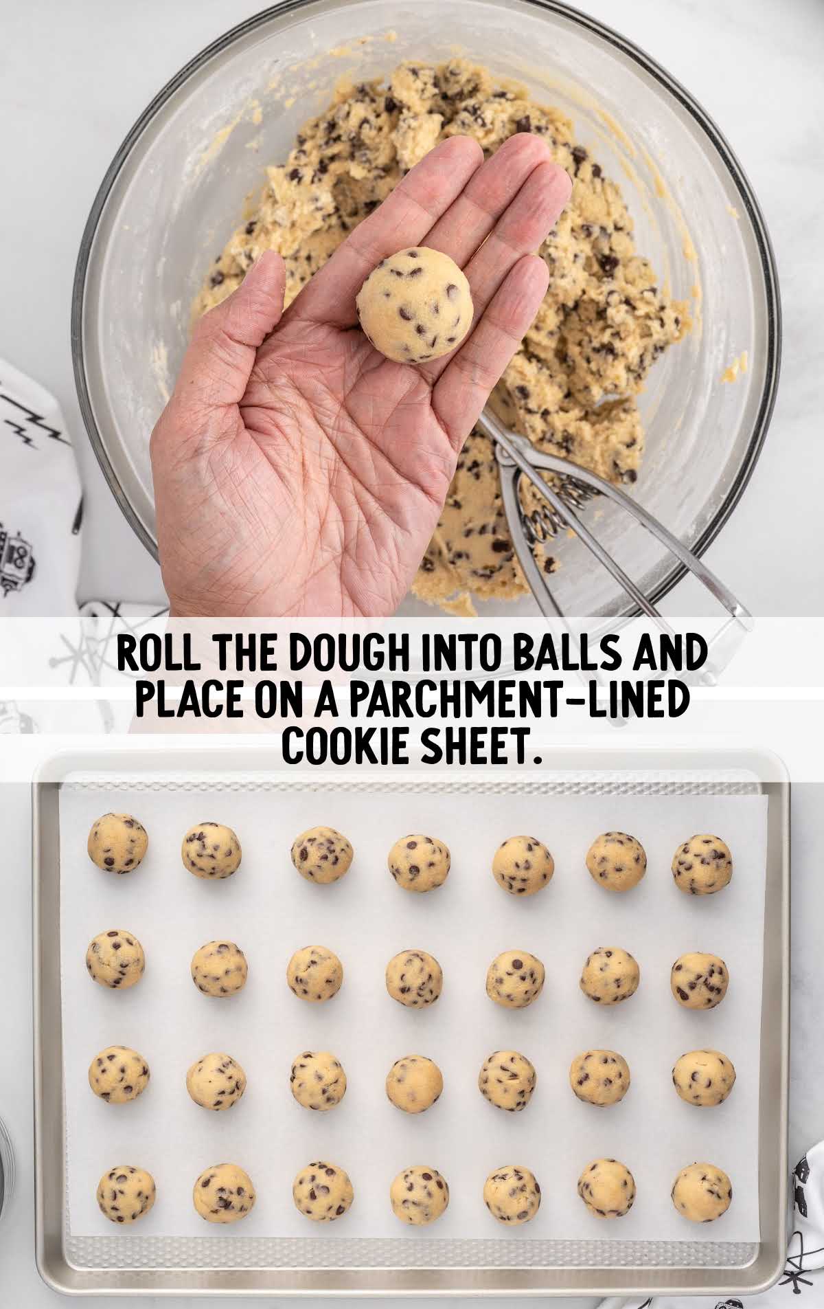 dough rolled into balls and placed on a parchment lined cookie sheet