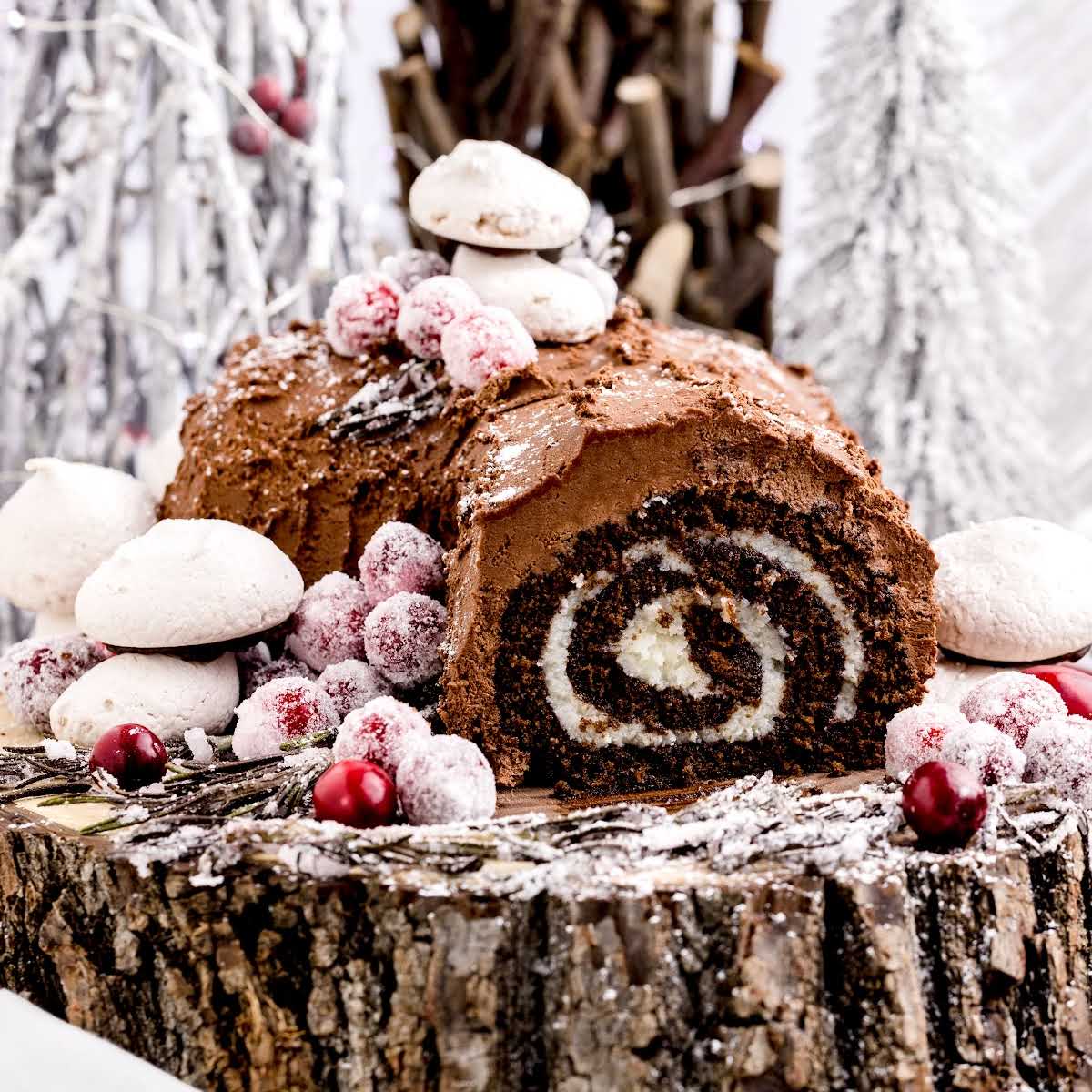 Yuletide Log And Mushroom