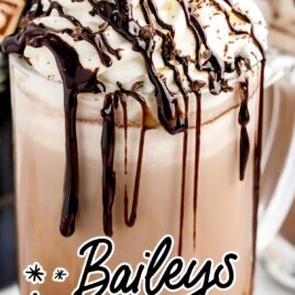 a close up shot of Baileys Hot Chocolate in a mug