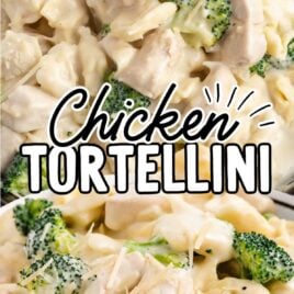 a close up shot of Chicken Tortellini with a fork grabbing a piece