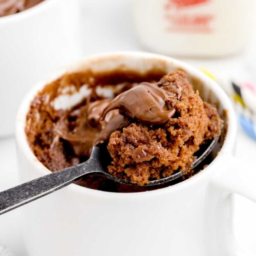 https://spaceshipsandlaserbeams.com/wp-content/uploads/2022/11/Nutella-Mug-Cake-Recipe-Card-500x500.jpg