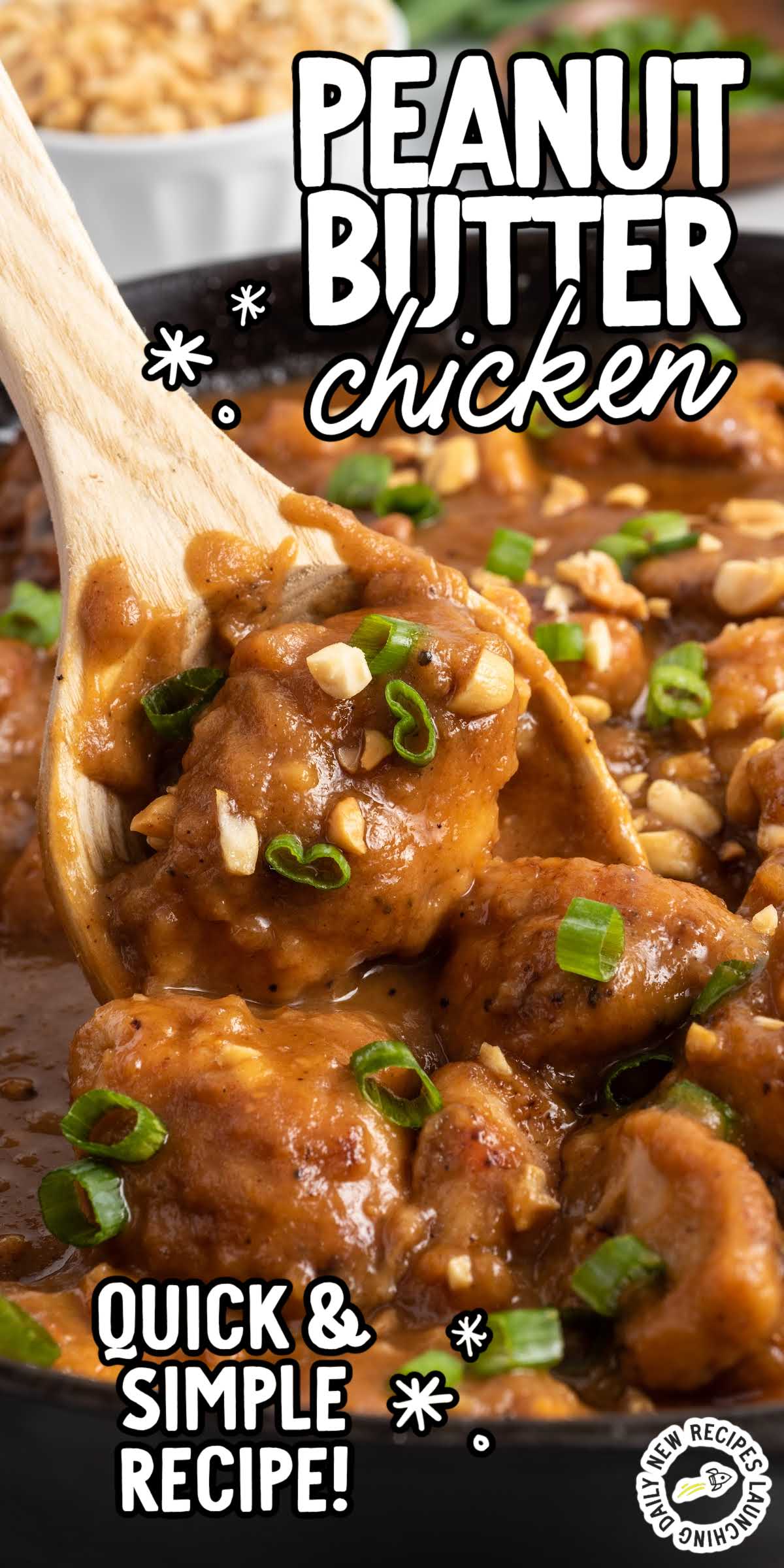 Peanut Butter Chicken Recipe Spaceships and Laser Beams