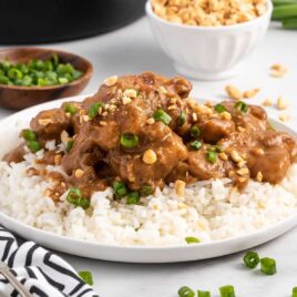 a close up shot of Peanut Butter Chicken with rice on a plate