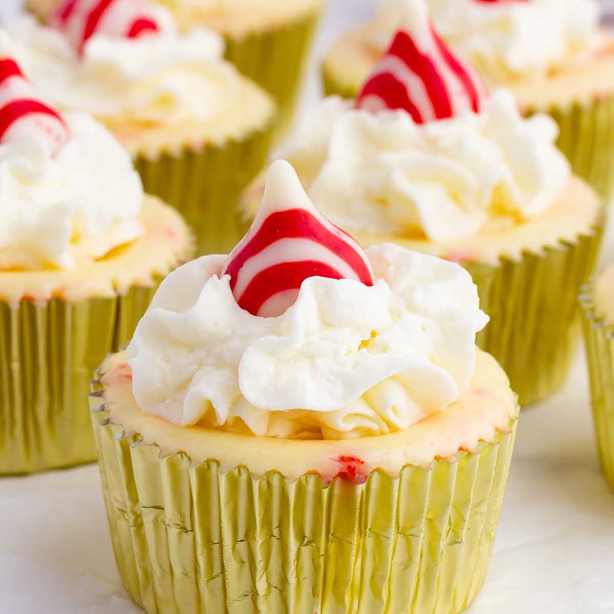 a close up shot of a Peppermint Cheesecake