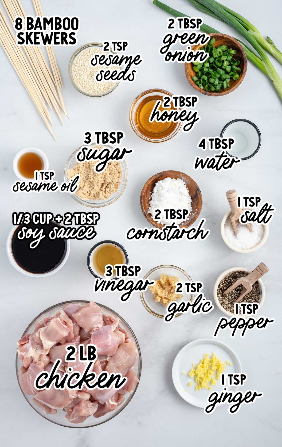 Teriyaki Chicken Skewers raw ingredients that are labeled