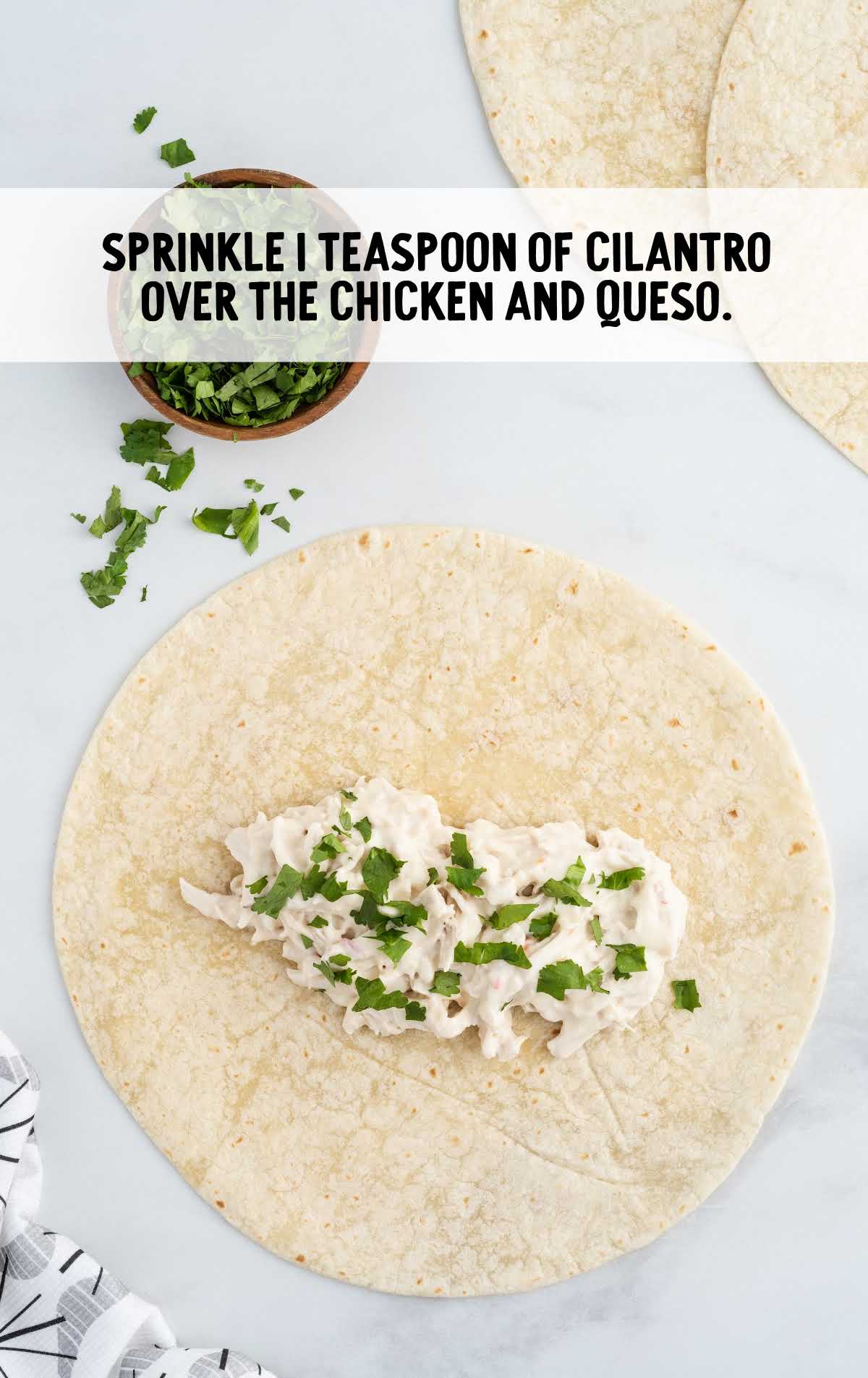 cilantro sprinkled over the chicken and queso