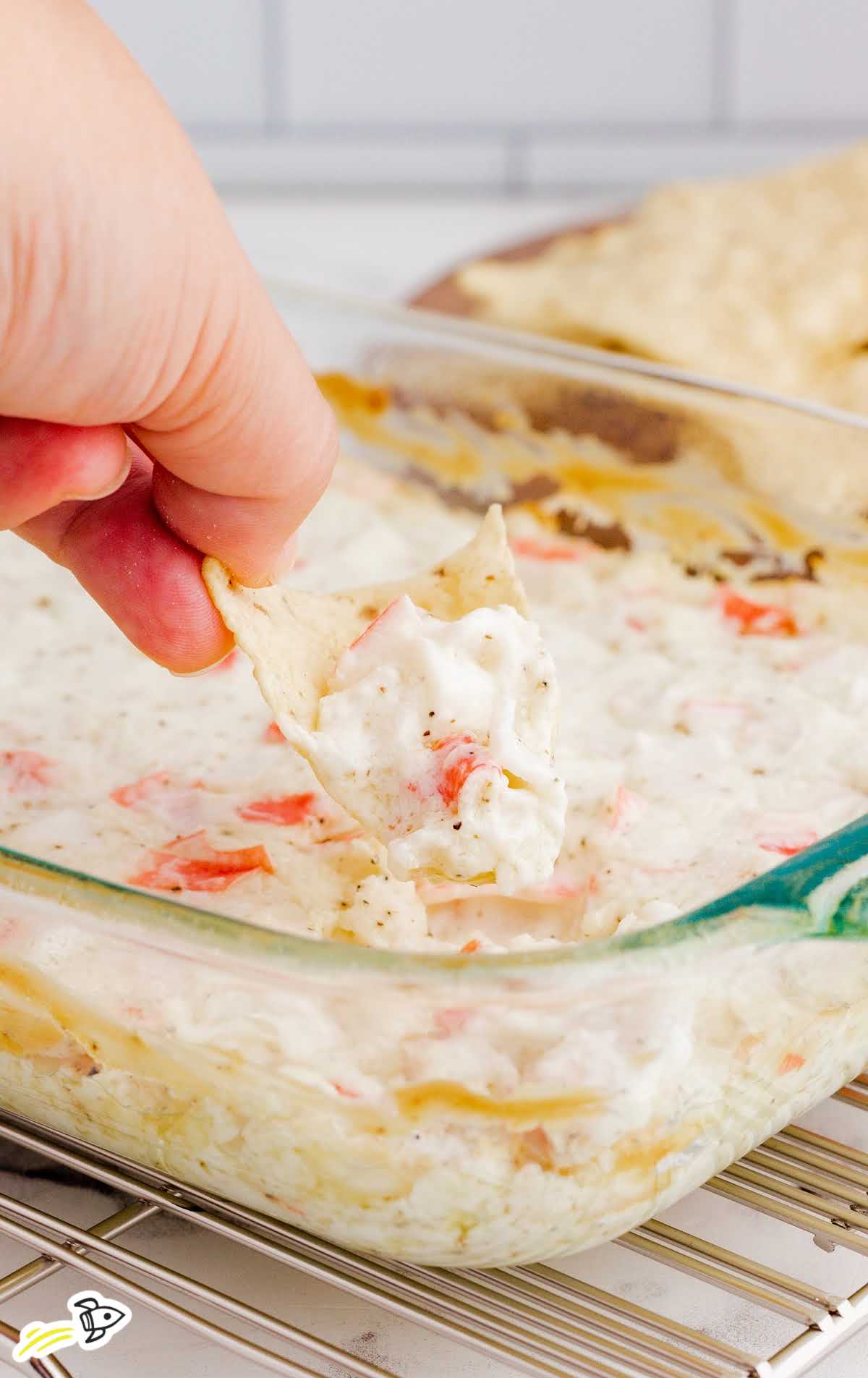 close up shot of Crab Dip in a baking dish with a chip grabbing a piece