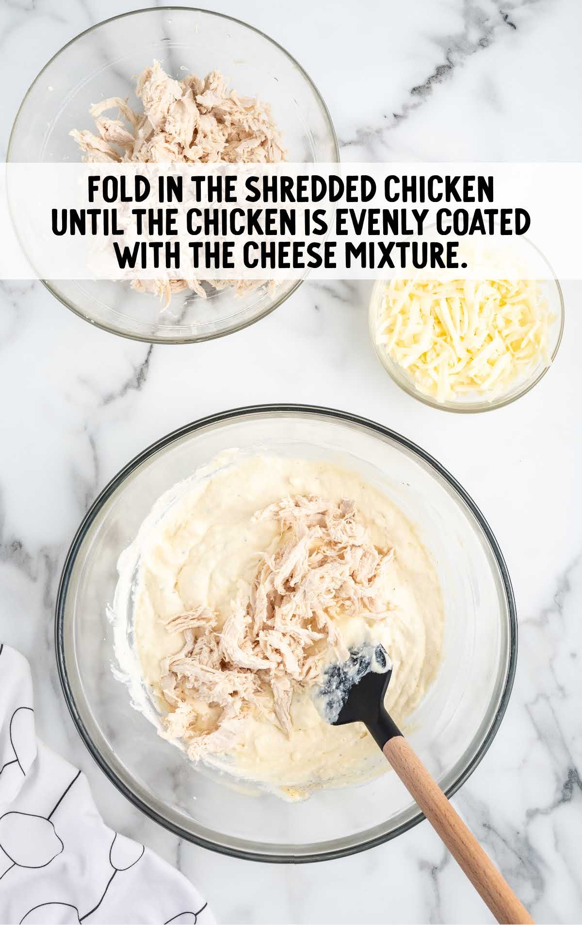 shredded chicken folded with the cheese mixture