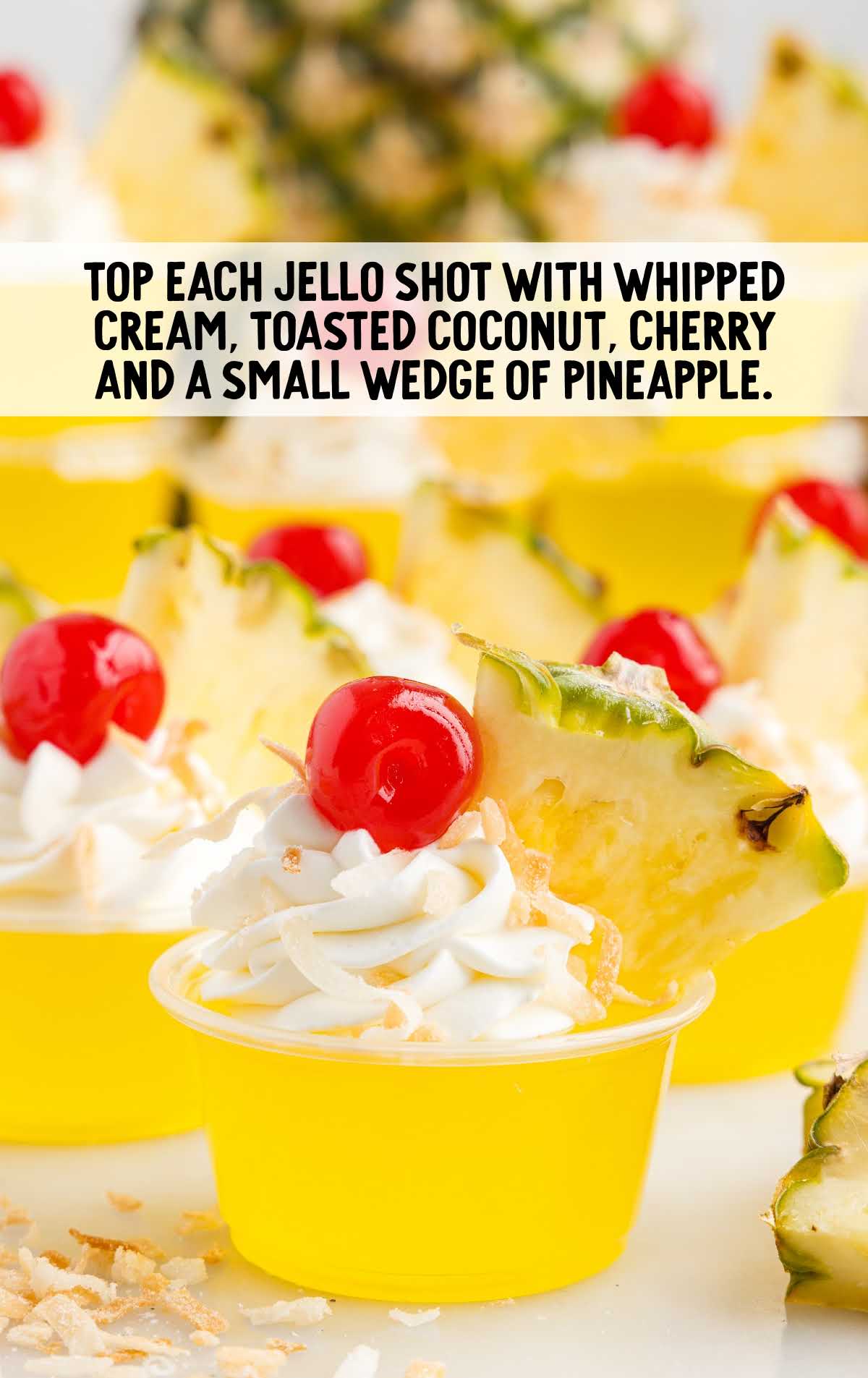 whipped cream, toasted coconut, cherry and small pineapple topped on each shot